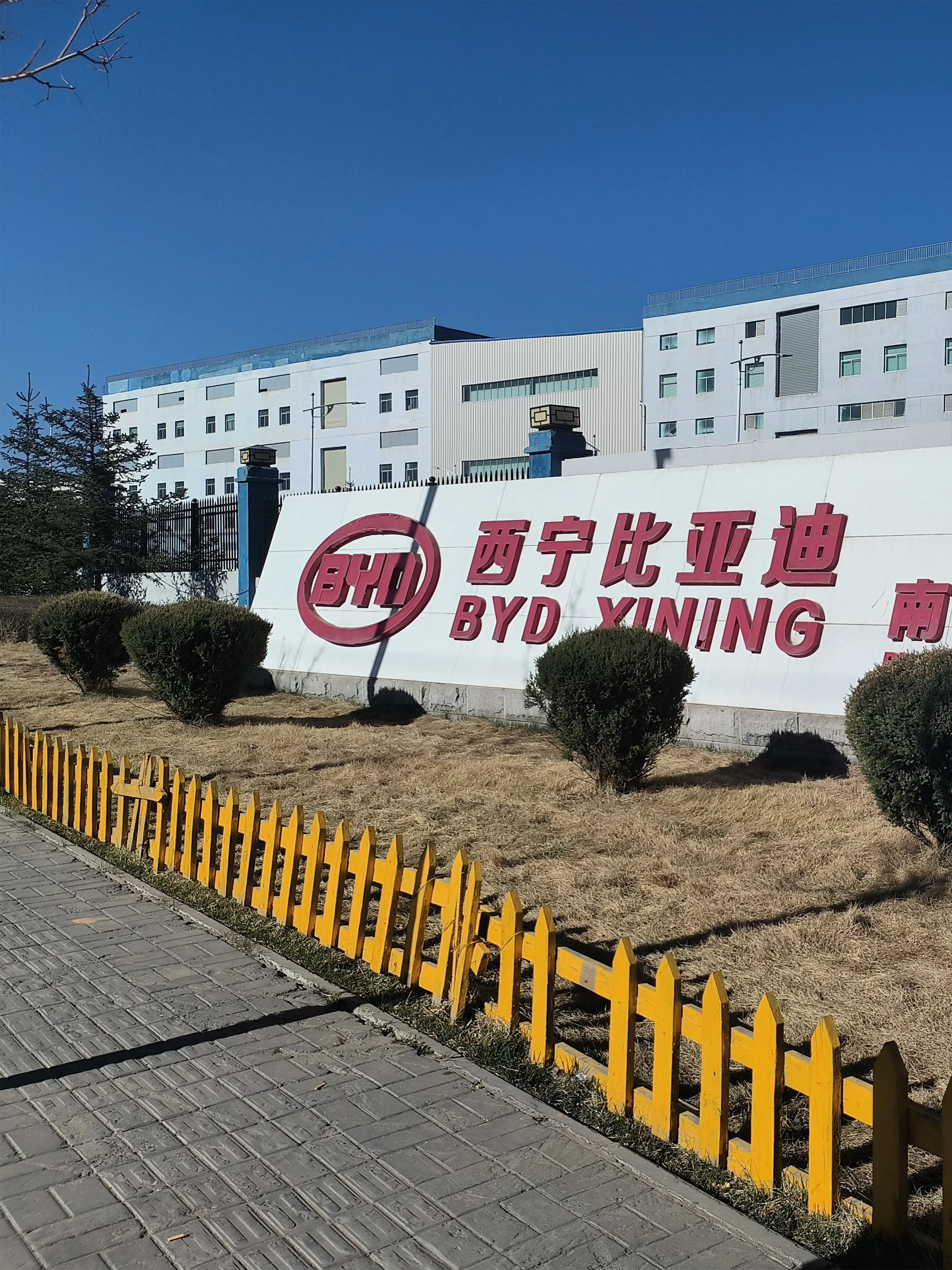 LANGDE Inkjet Printer Becomes BYD Auto's Official Inkjet Printer Supplier